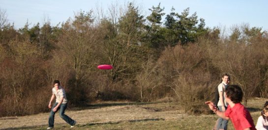 Two adults playing frisbee in the park