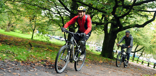 Cycling group in woods