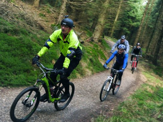 Family cycling in a Forest