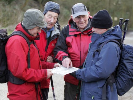 Group of Senior men looking at a walking map